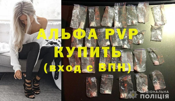 ПСИЛОЦИБИНОВЫЕ ГРИБЫ Домодедово