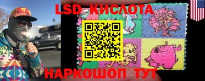 индика Будённовск