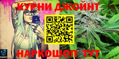индика Будённовск