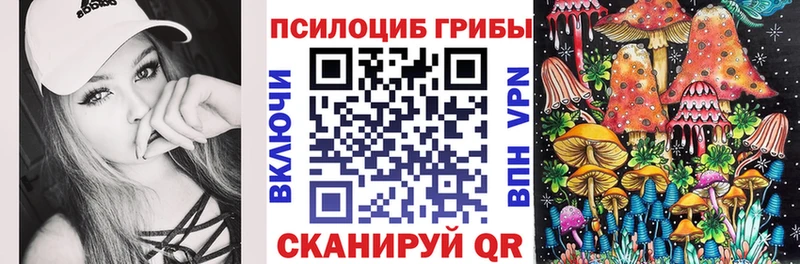 Псилоцибиновые грибы мицелий  Новороссийск 