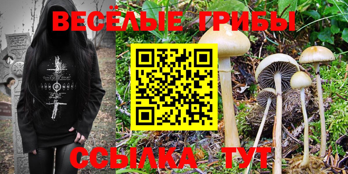 Галлюциногенные грибы ЛСД  Вход с VPN  даркнет сайт  Новороссийск 
