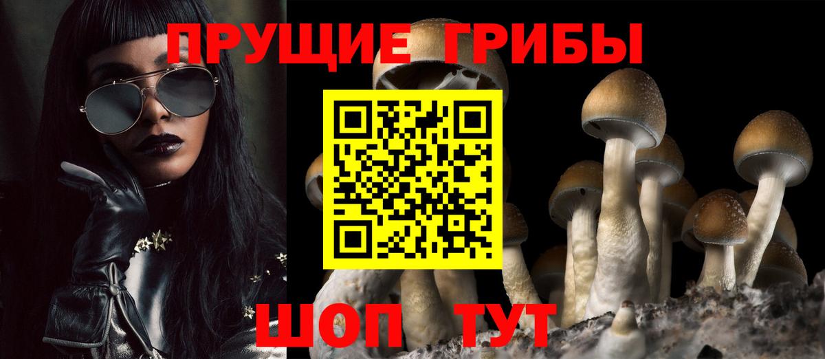 Галлюциногенные грибы мицелий  Псилоцибиновые грибы мицелий  Новороссийск 